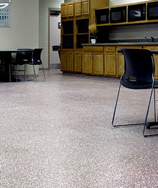 Sistemas de Recubrimiento para Pisos de Cuarzo Eco-DFS Decorative Flake